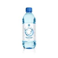 Ледники России — вода 0.5 литра | Газированная (товар в разработке, ожидается поступление) картинки